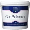 Protexin Equine Gut Balancer - 7kg 1 Protexin Equine Gut Balancer - 7kg -Healthy Pets Shop 7