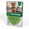 Advantage 40 1 Advantage 40 -Healthy Pets Shop advantage 40 new