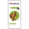 Bravecto Chewable Tablet - Medium Dog 1 Bravecto Chewable Tablet - Medium Dog -Healthy Pets Shop bravecto chew tablet med dog