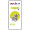 Bravecto Spot-On For Small Cats 1 Bravecto Spot-On For Small Cats -Healthy Pets Shop bravecto spot on cat small