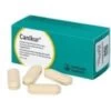 Canikur Chewable Tablets 2 Canikur Chewable Tablets -Healthy Pets Shop canikur