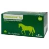 Chanazone Oral Power For Horses 1 Chanazone Oral Power For Horses -Healthy Pets Shop chanazone for horses cha097