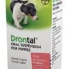 Drontal Puppy Suspension - 100ml 2 Drontal Puppy Suspension - 100ml -Healthy Pets Shop drontal puppy 1