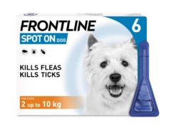 Frontline Spot-On Flea & Tick Treatment Dog 2 -10 Kg - 6 Pack