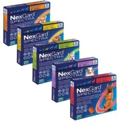 NexGard Spectra For Small Dogs (3.5 - 7.5kg) - 3 Pack