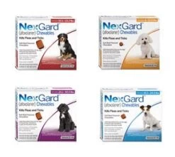 NexGard Chewable Tablets For Dogs 4-10kg - 6 Pack