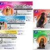 Pestigon For Medium Dogs - 3 Pack 1 Pestigon For Medium Dogs - 3 Pack -Healthy Pets Shop pestigon all 4