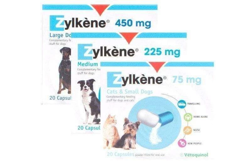 Zylkene 450mg- 20 Capsules Zylkene 450mg- 20 Capsules -Healthy Pets Shop petsensedirect zylkene zylkene 1479819396zylkene 4