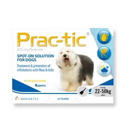 Prac-tic Spot-On for Large Dogs - 6 Pack Prac-tic Spot-On For Large Dogs - 6 Pack -Healthy Pets Shop practic lrg 6 pra009
