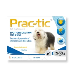 Prac-tic Spot-On for Large Dogs - 3 Pack Prac-tic Spot-On For Large Dogs - 3 Pack -Healthy Pets Shop practic lrg pra008