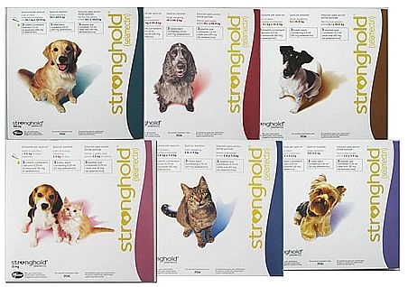Stronghold for Cats - 6 Pack Stronghold For Cats - 6 Pack -Healthy Pets Shop stronghold str004all 4