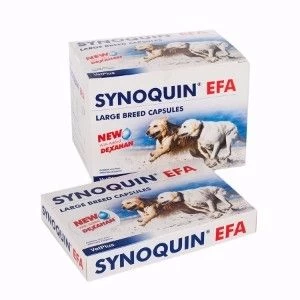 Synoquin EFA Large Breed Dog - 120 Capsules Synoquin EFA Large Breed Dog - 120 Capsules -Healthy Pets Shop synoquin large capsules