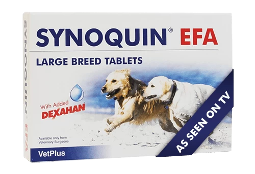 Synoquin EFA Large Breed Dog - 120 Tablets Synoquin EFA Large Breed Dog - 120 Tablets -Healthy Pets Shop synoquin large tablets