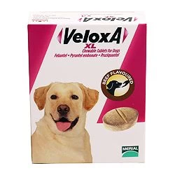 Veloxa XL Chewable Tablets for Dogs Veloxa XL Chewable Tablets For Dogs -Healthy Pets Shop